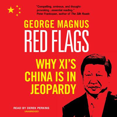 Red Flags by George Magnus audiobook