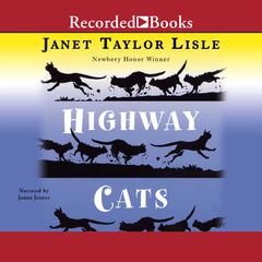 Highway Cats by Janet Taylor Lisle audiobook