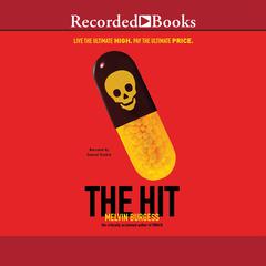 The Hit by Melvin Burgess audiobook