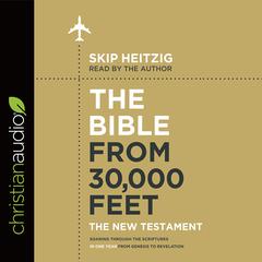 Bible from 30,000 Feet: The New Testament by Skip Heitzig audiobook