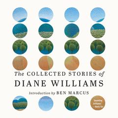 The Collected Stories of Diane Williams by Diane Williams audiobook