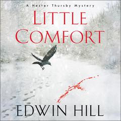 Little Comfort by Edwin Hill audiobook