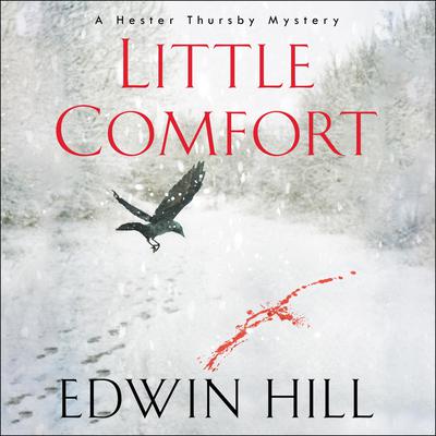 Little Comfort by Edwin Hill audiobook