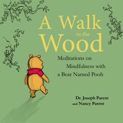 A Walk in the Wood by Joseph Parent audiobook