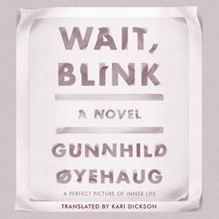 Wait, Blink by Gunnhild Øyehaug audiobook