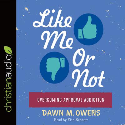 Like Me or Not by Dawn M. Owens audiobook