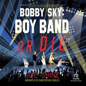 Bobby Sky by  Joe Shine audiobook