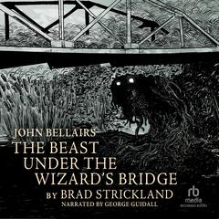 The Beast Under the Wizard's Bridge by John Bellairs audiobook
