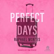 Perfect Days by  Alison Entrekin audiobook