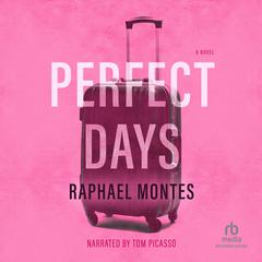 Perfect Days by Alison Entrekin audiobook