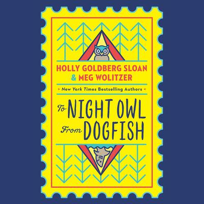 To Night Owl From Dogfish by Meg Wolitzer audiobook