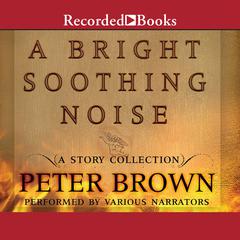 A Bright Soothing Noise by Peter Brown audiobook