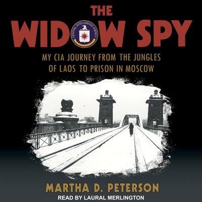 The Widow Spy by Martha D. Peterson audiobook