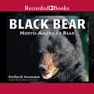 Black Bear by Stephen R. Swinburne audiobook