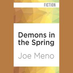 Demons in the Spring by Joe Meno audiobook