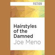 Hairstyles of the Damned by  Joe Meno audiobook