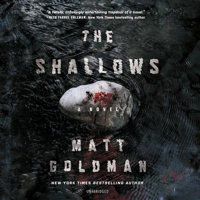 The Shallows by Matt Goldman audiobook