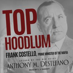 Top Hoodlum by Anthony M. DeStefano audiobook