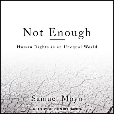 Not Enough by Samuel Moyn audiobook
