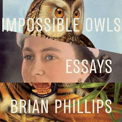 Impossible Owls by Brian Phillips audiobook