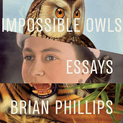 Impossible Owls by Brian Phillips audiobook