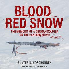 Blood Red Snow by Günter K. Koschorrek audiobook