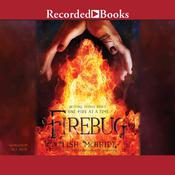 Firebug by  Lish McBride audiobook