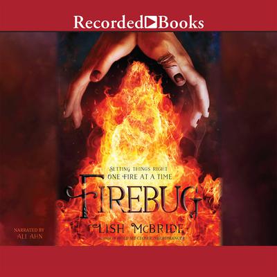 Firebug by Lish McBride audiobook