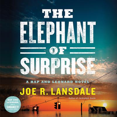 The Elephant of Surprise by Joe R. Lansdale audiobook