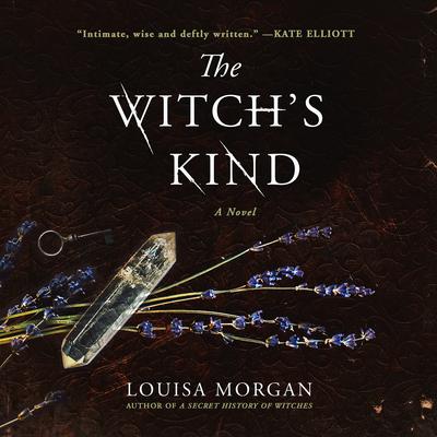 The Witch's Kind by Louisa Morgan audiobook