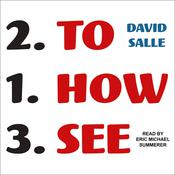 How to See by  David Salle audiobook