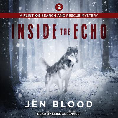 Inside the Echo by Jen Blood audiobook