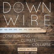 Down to the Wire by  David W. Orr audiobook