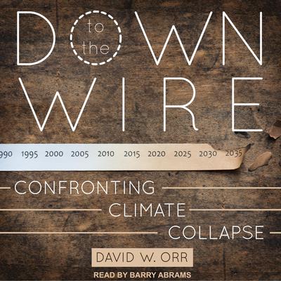 Down to the Wire by David W. Orr audiobook