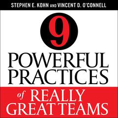 9 Powerful Practices of Really Great Teams by Stephen E. Kohn audiobook