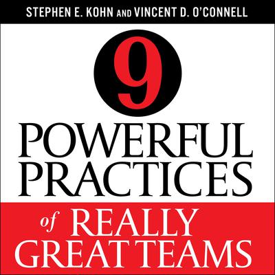9 Powerful Practices of Really Great Teams by Stephen E. Kohn audiobook