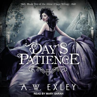 Day's Patience by A. W. Exley audiobook