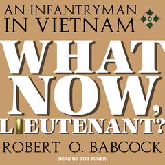 What Now, Lieutenant? by Robert O. Babcock audiobook