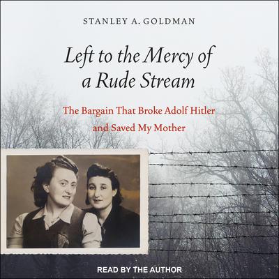 Left to the Mercy of a Rude Stream by Stanley A. Goldman audiobook