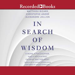 In Search of Wisdom by Matthieu Ricard audiobook