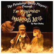 The Petaluma Radio Players Present: The Misadventure of the Injudicious Jurist by  Vince Stadon audiobook