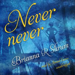 Never Never by Brianna Shrum audiobook