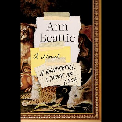 A Wonderful Stroke of Luck by Ann Beattie audiobook