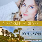 A Sparkle of Silver by  Liz Johnson audiobook