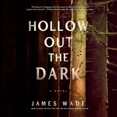 Hollow Out the Dark by James Wade audiobook