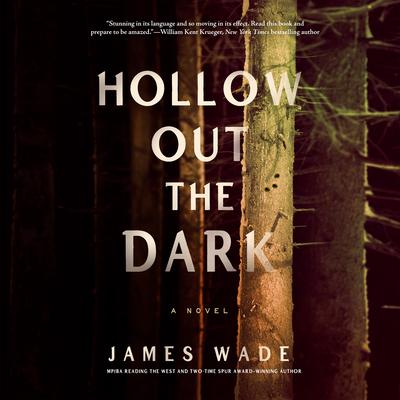 Hollow Out the Dark by James Wade audiobook
