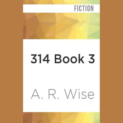 314, Book 3 by A. R. Wise audiobook