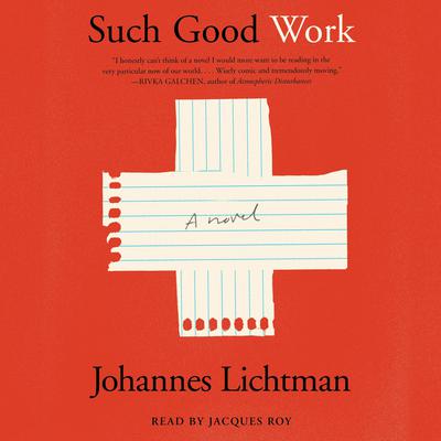 Such Good Work by Johannes Lichtman audiobook