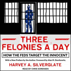 Three Felonies A Day by Harvey Silverglate audiobook