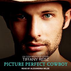 Picture Perfect Cowboy by Tiffany Reisz audiobook